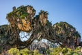 Pandora Ã¢â¬â The World of Avatar at the Animal Kingdom at Walt Disney World Royalty Free Stock Photo